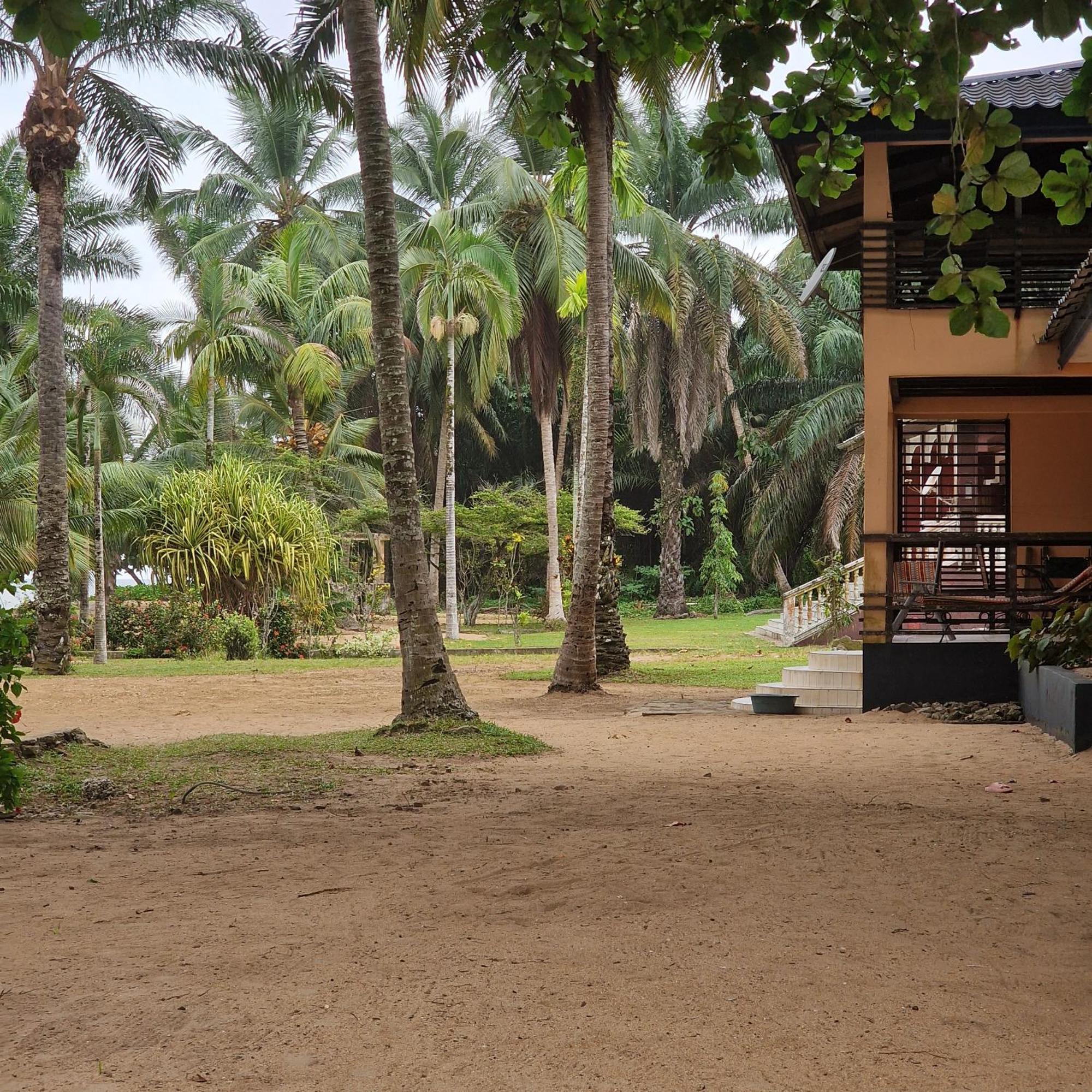 La Villa Lou, Musee Des Arts Grand Batangua คริบี ภายนอก รูปภาพ